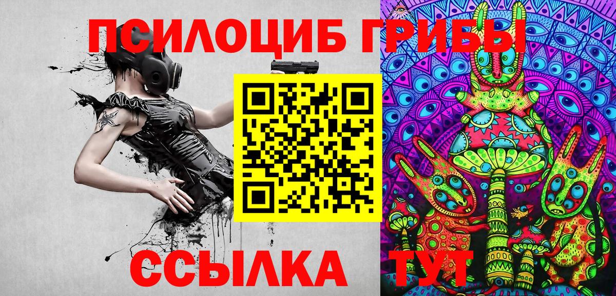 Псилоцибиновые грибы прущие грибы Тавда