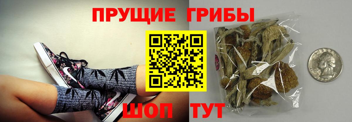 Тавда  Галлюциногенные грибы мицелий  Галлюциногенные грибы GOLDEN TEACHER  Вход с VPN 