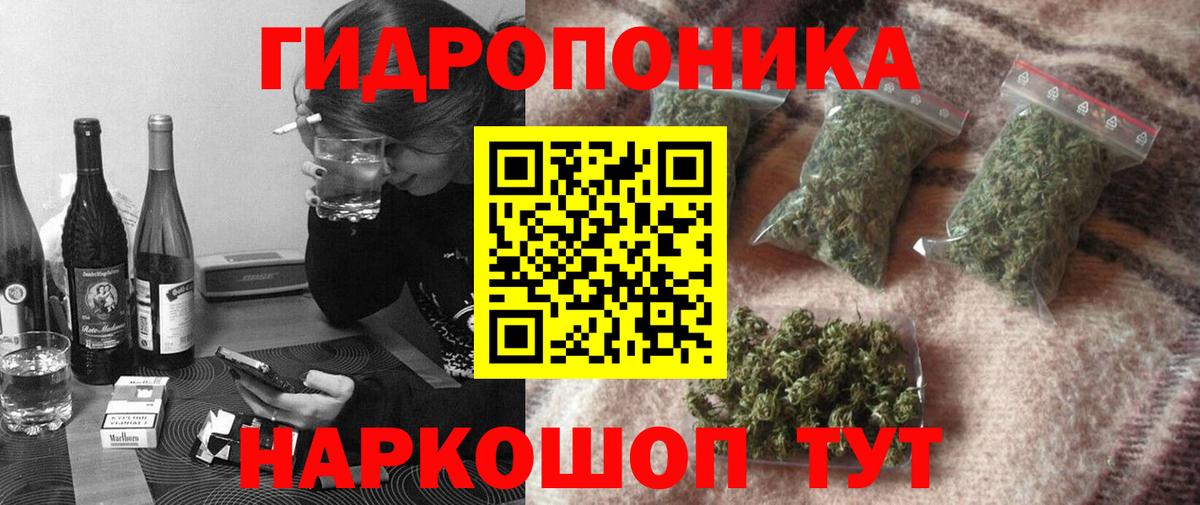 Шишки марихуана конопля  Вход с VPN  Бошки марихуана планчик  Тавда  Марихуана VHQ 